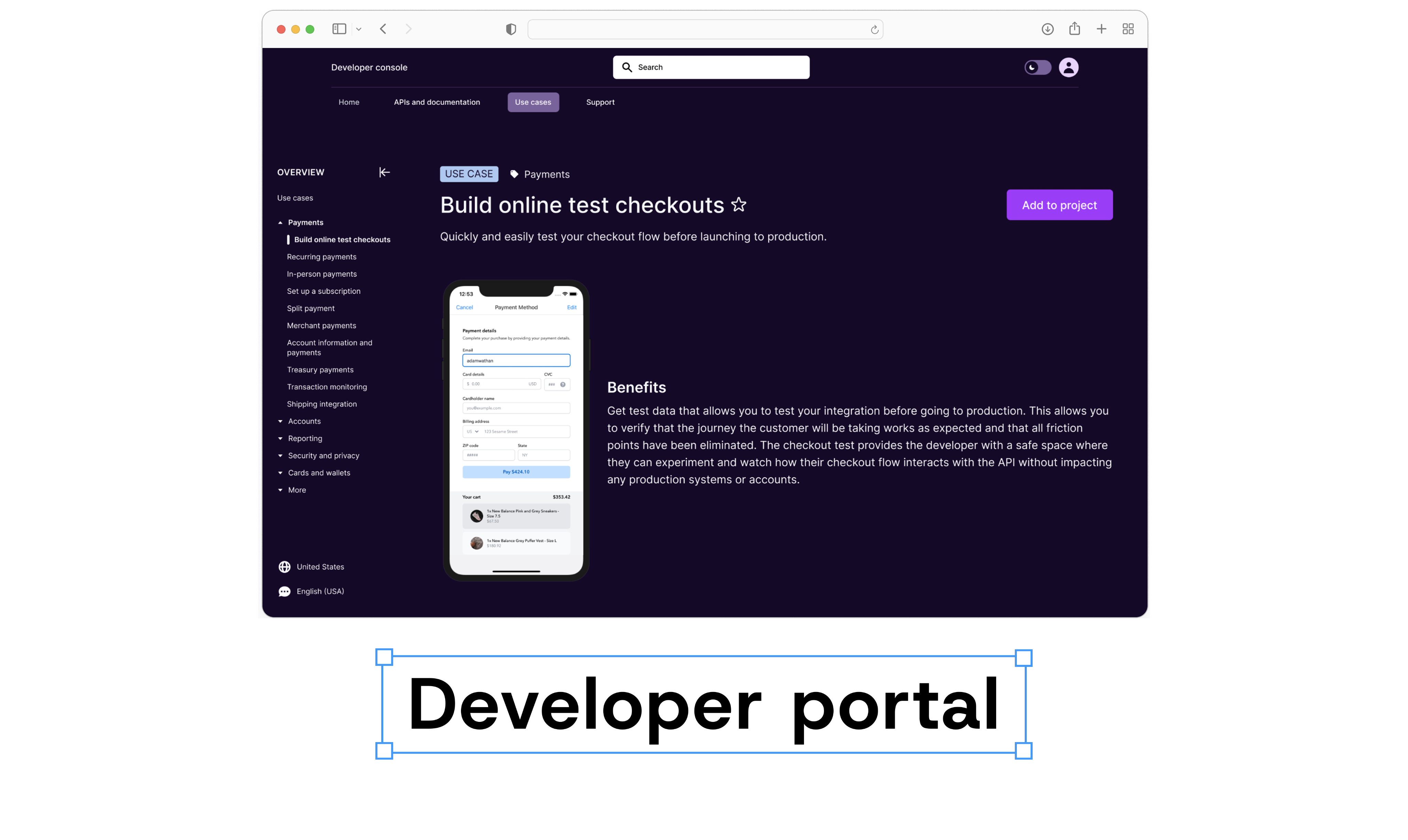 Dev portal header image